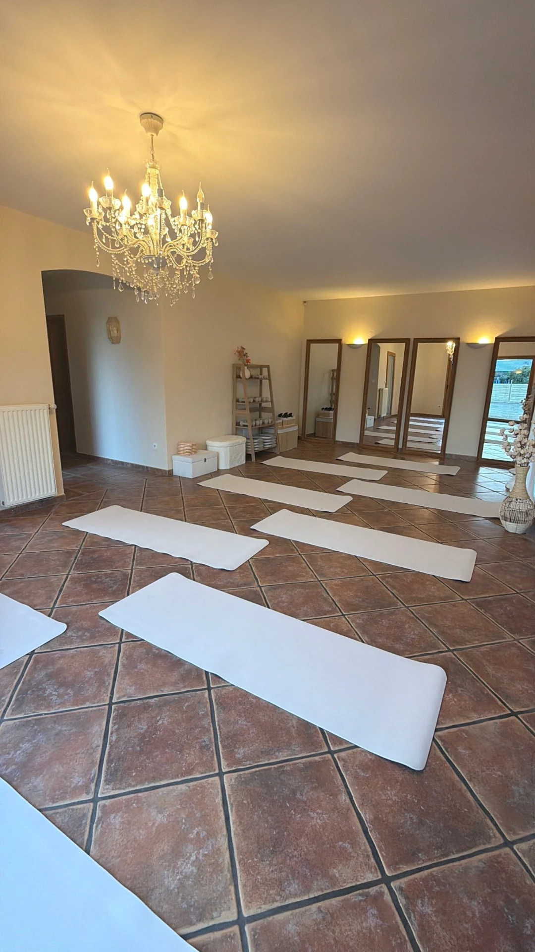 Lustre allumé, miroirs et tapis prêts pour une séance au studio Elea Pilates